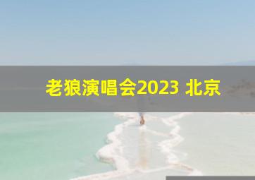 老狼演唱会2023 北京